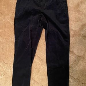 Banana Republic Velvet Sloan Pants